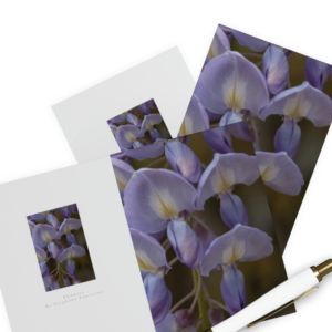 greetings cards purple flower
